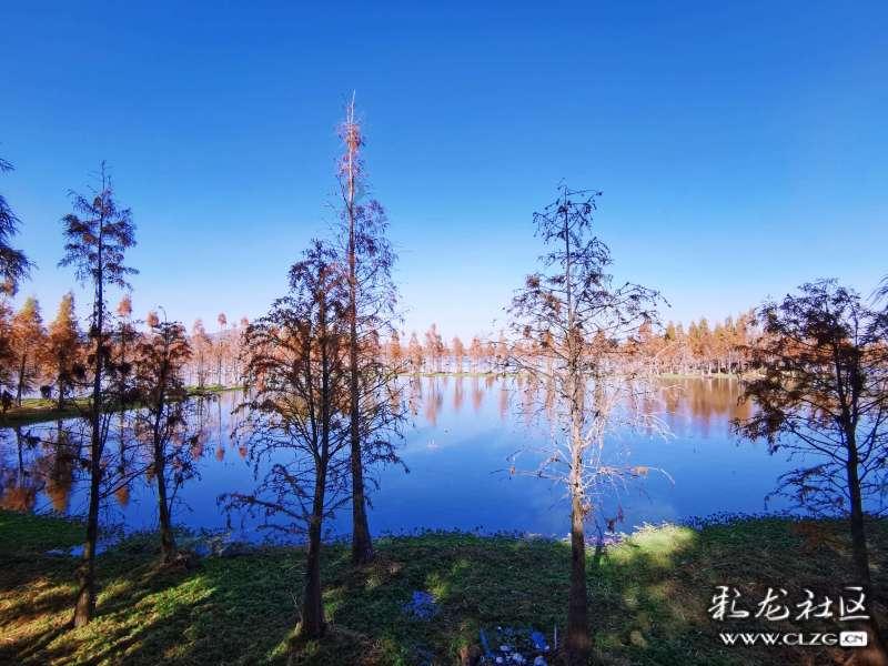 要久久爱:蓝亦菲12年后现身,揭开秘密,蓝斌将其抵押给借债的人